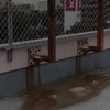 流れる　その41