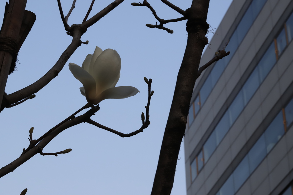 独り　その203