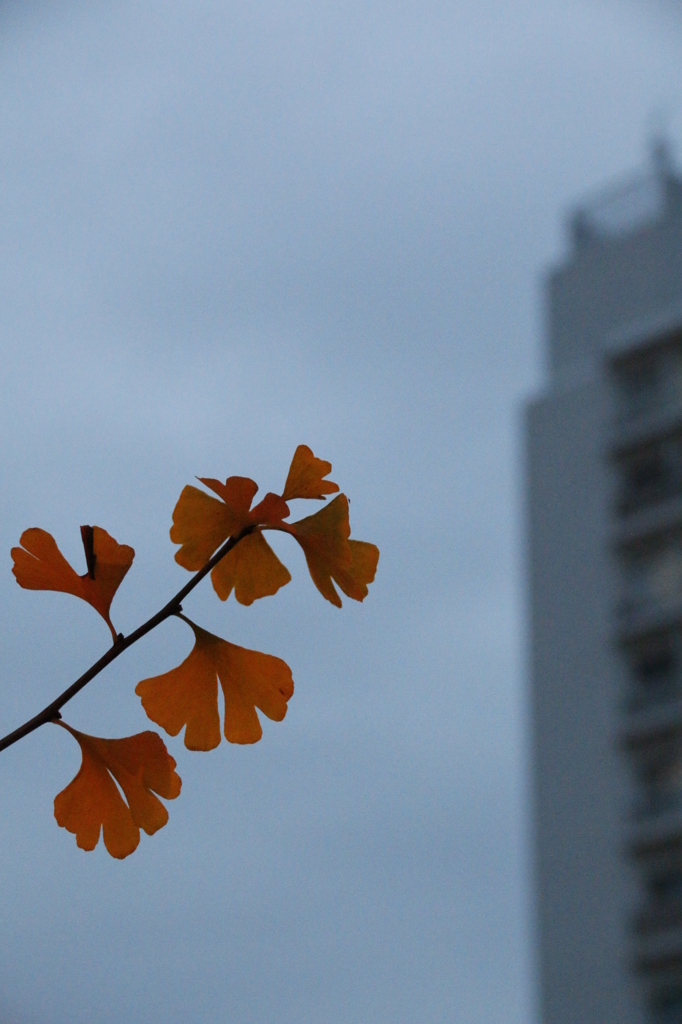 空　その9