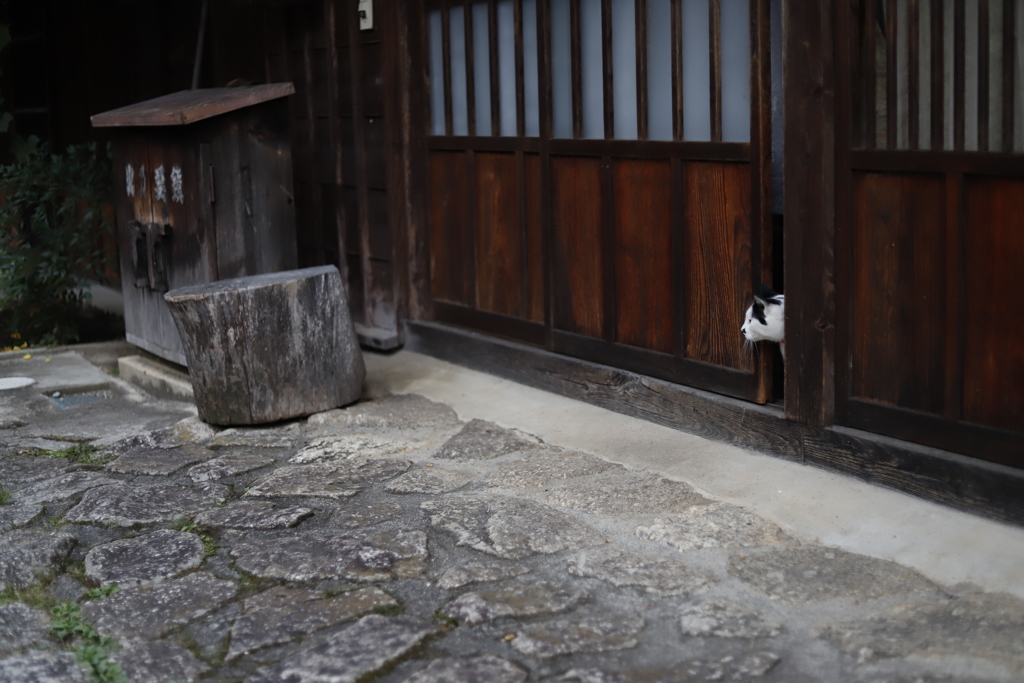 のぞく　その9