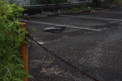のこる　その142