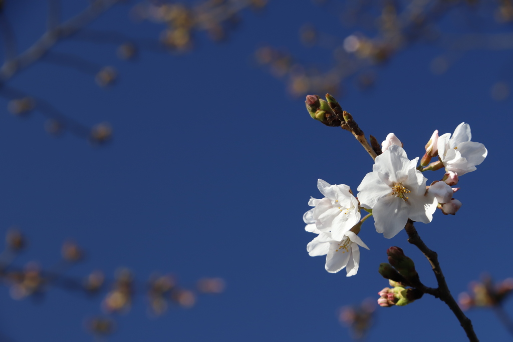 空　その30