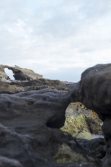 ダブル馬の背同門（城ヶ島）
