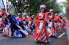 よさこい