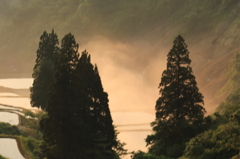 朝霧