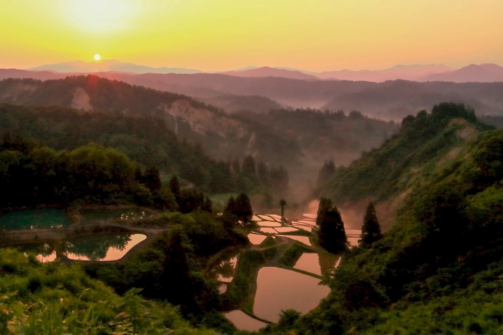 山古志の昇陽