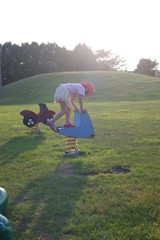 柔らかい陽射し