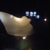 ナイト水族館２