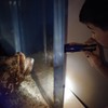 ナイト水族館 