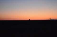 silhouette