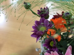 flowerphotos.