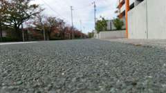道