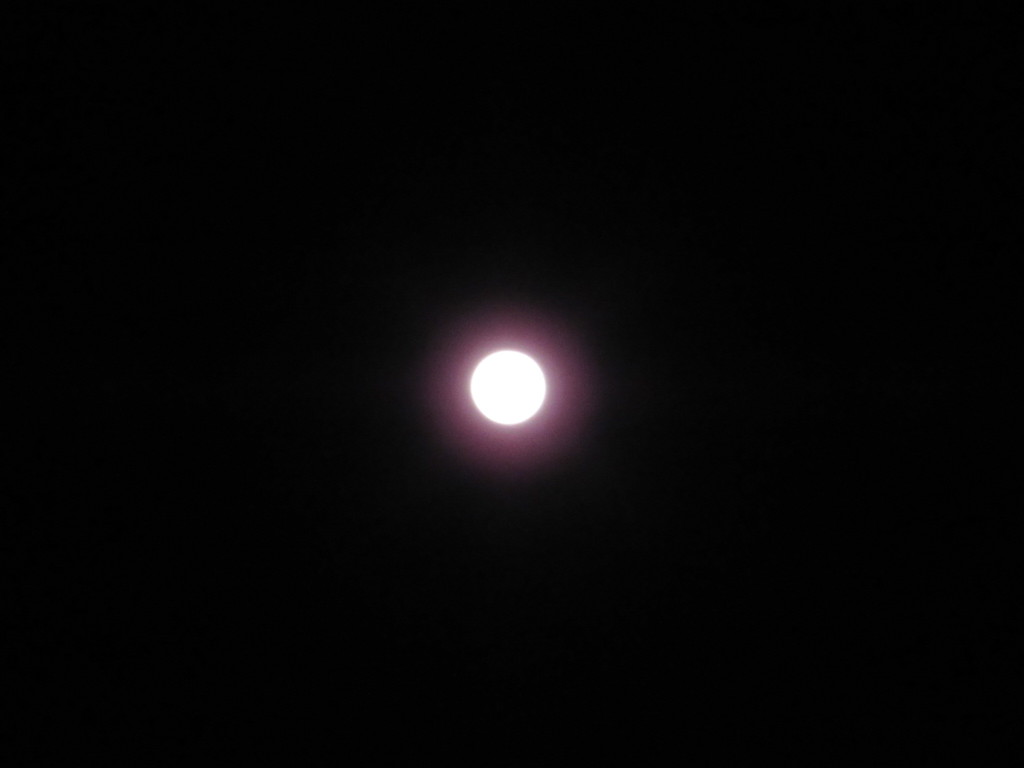 満月。