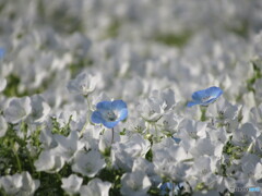 つぶらな瞳。