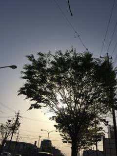Skyphotos