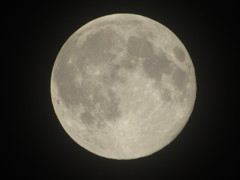 moon
