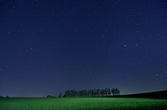 マイルドセブンの丘星空