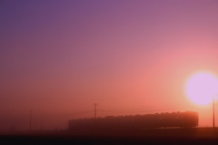 霧の朝ぼらけ