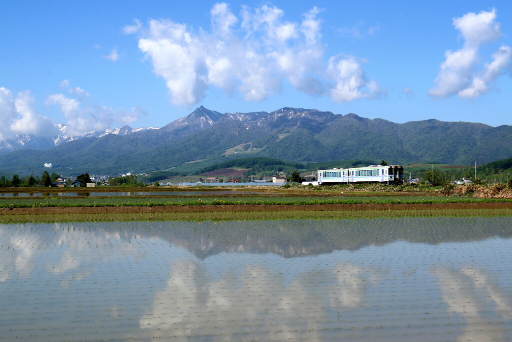 布部－富良野　(根室本線)