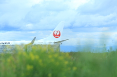 JAL 08