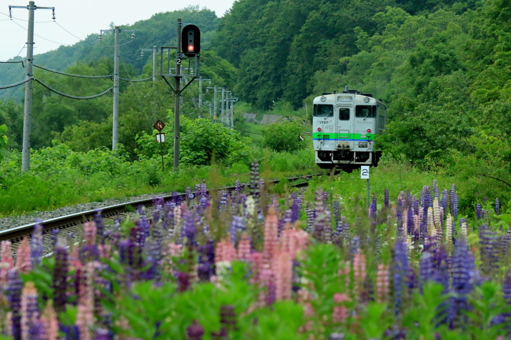 十弗駅　(根室本線)