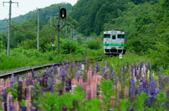 十弗駅　(根室本線)