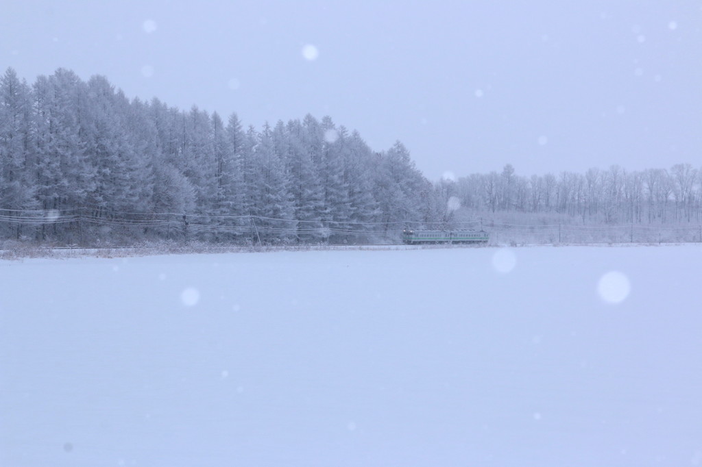 雪原