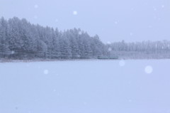 雪原
