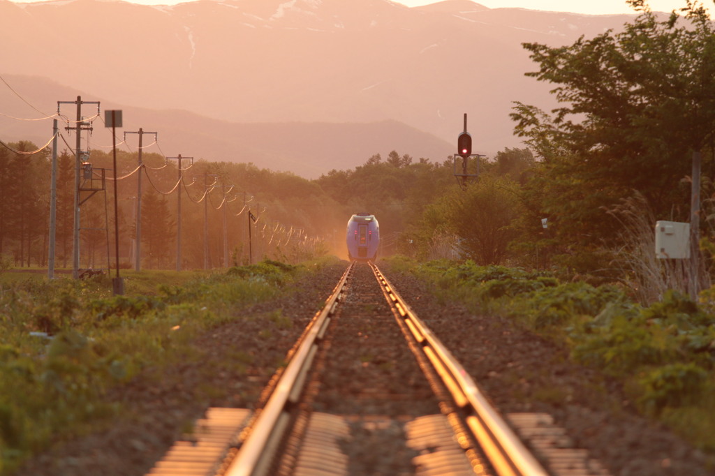 スーパーおおぞら　０８