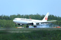 ＪＡＬ　１３
