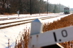 雪の線路沿いから