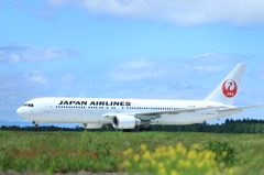 JAL １１