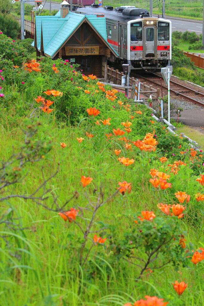 原生花園駅