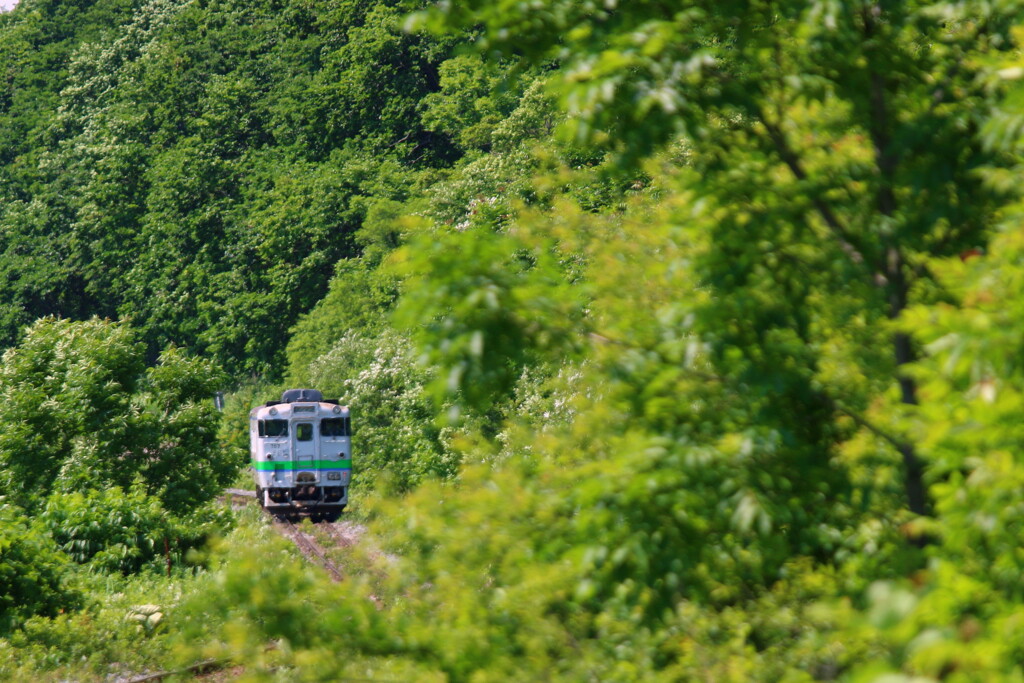 十弗駅　(根室本線)