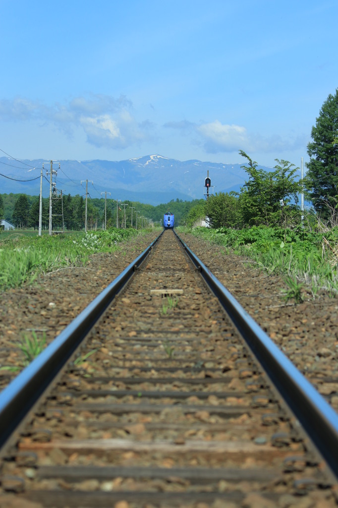 スーパーとかち　０５