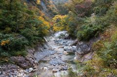 蛇谷川沿いの遊歩道から見た景色１（2015秋の白山白川郷ホワイトロードより）