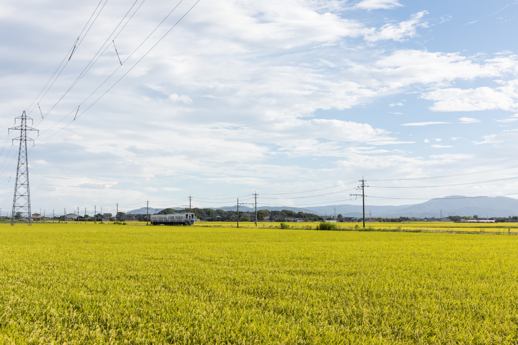 田園を走る