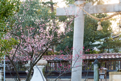 鳥居前にて（小松天満宮より）