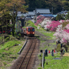 花桃の駅で。九頭竜湖行き