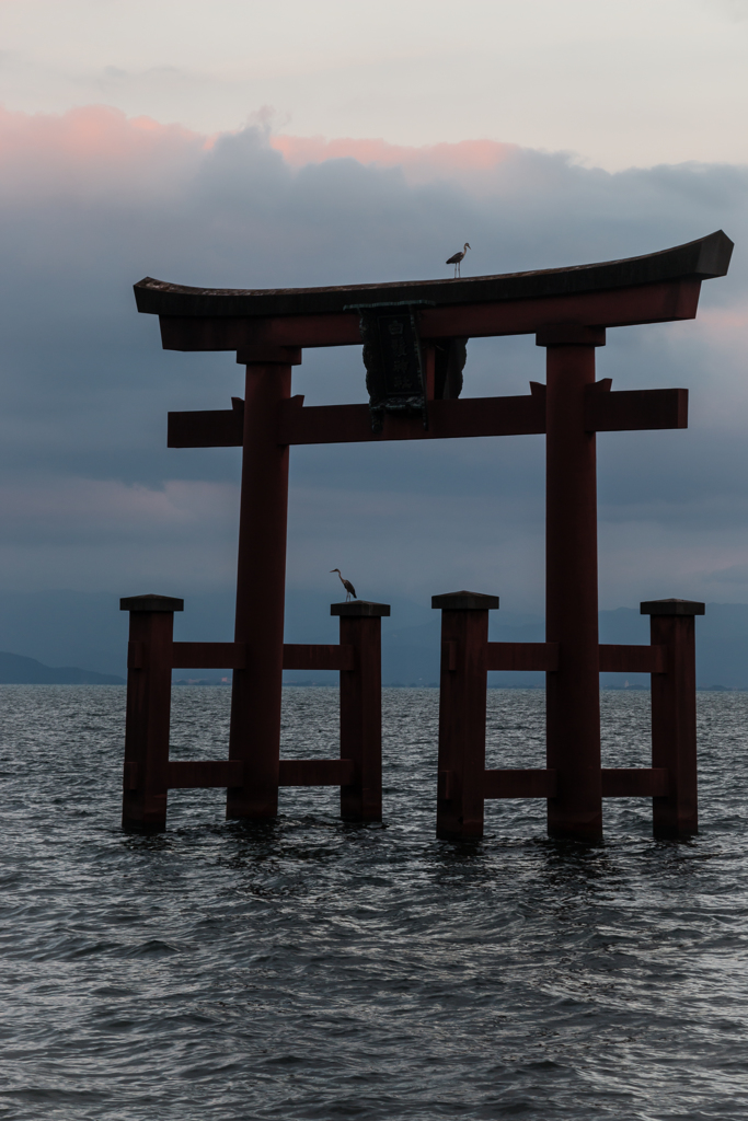 湖中大鳥居４（夏の琵琶湖畔より）