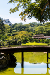 彦根城借景２(玄宮園より）