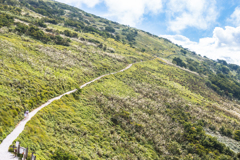 西登山道登り口（夏の伊吹山より）