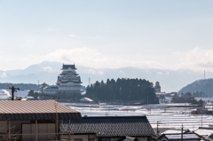 勝山城博物館（バブルの遺産・大師山清大寺より）