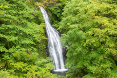 新緑の千束ヶ滝