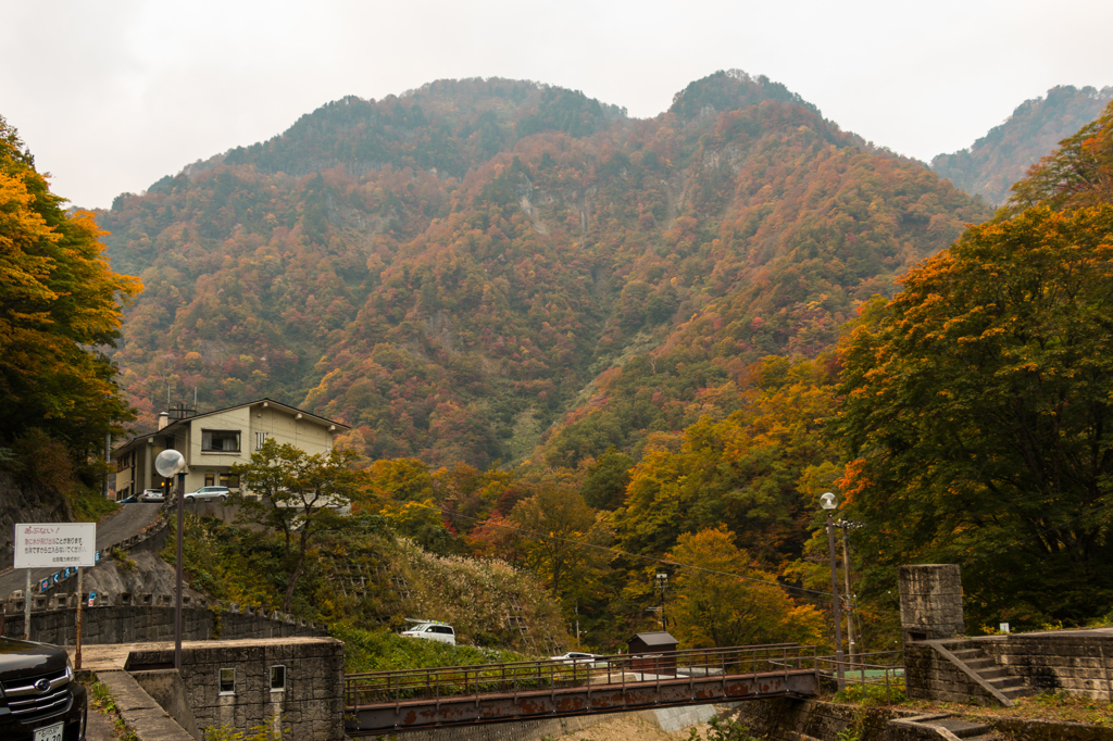 ホワイトロードに入らなくても２（2015秋の白山白川郷ホワイトロードより）