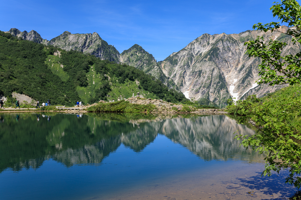 もう一つの八方池風景