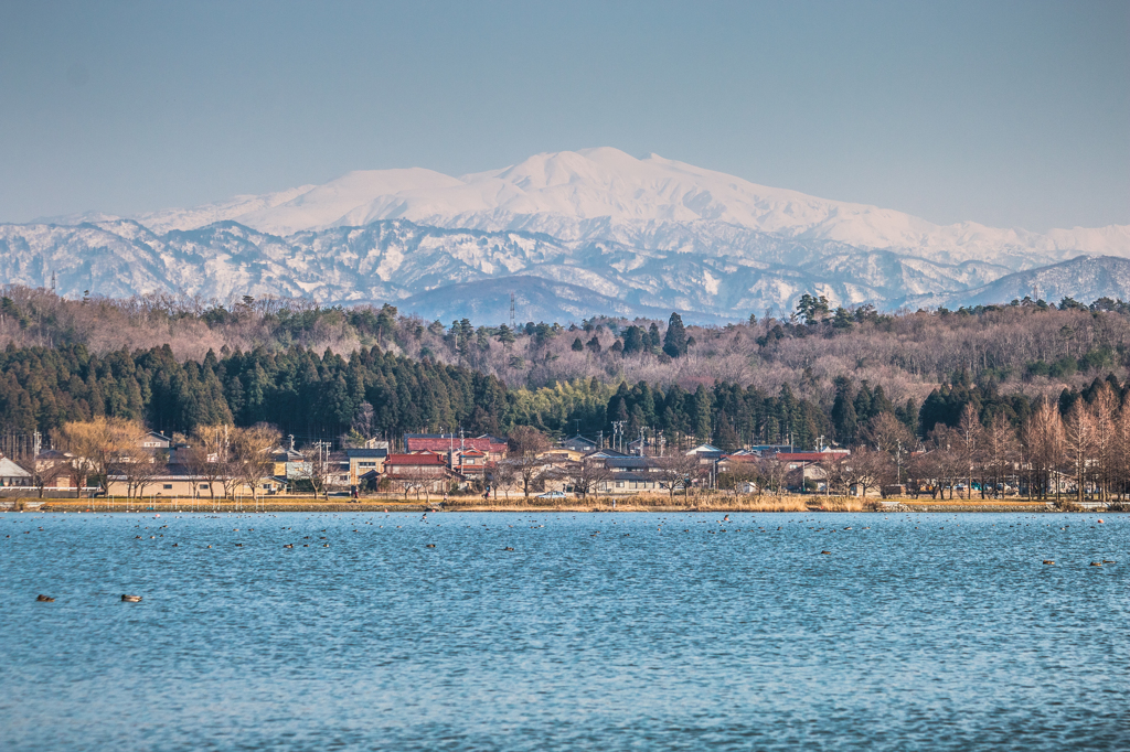 三月の白山その３（木場潟より）