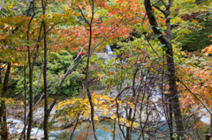 蛇谷川沿いの遊歩道から見た景色３（2015秋の白山白川郷ホワイトロードより）