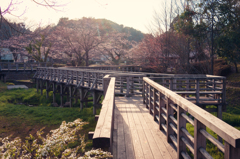 古九谷の杜親水公園３