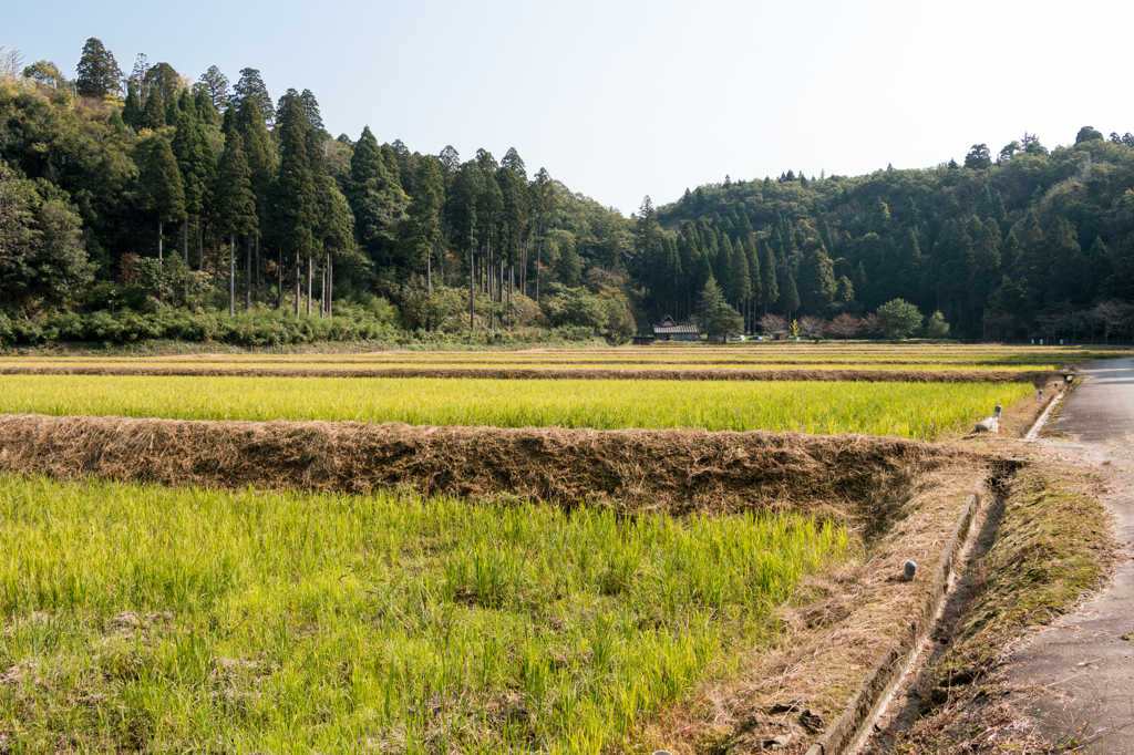 七ツ滝の丘陵地ふもとの田園風景（七ツ滝より）